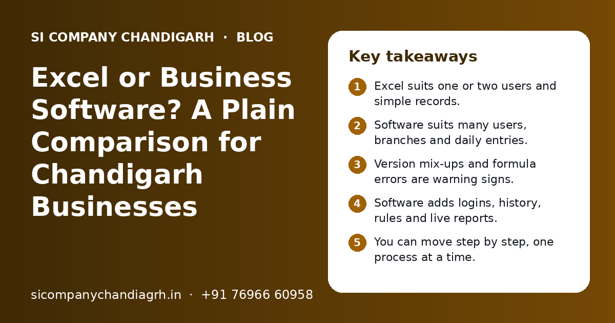 Excel or Business Software? A Plain Comparison for Chandigarh Businesses: key takeaways infographic